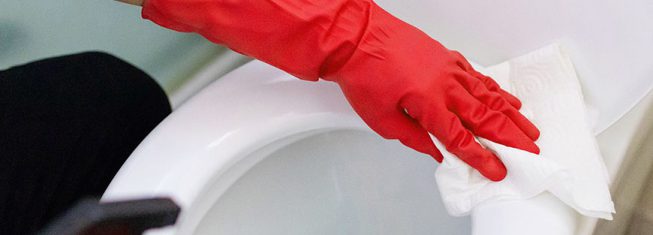 Cleaning a Toilet